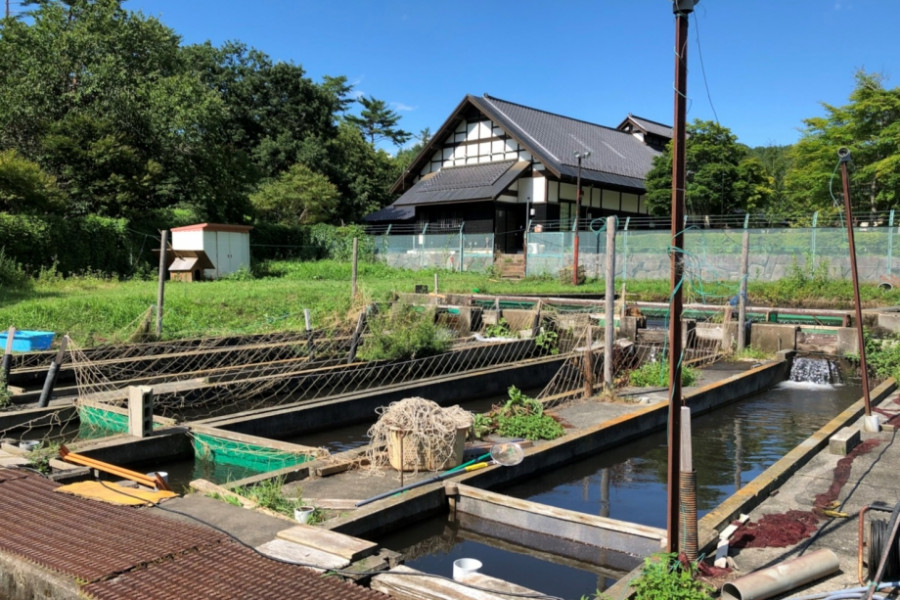 Iwana no Sato